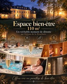Chambre Romantique - Château de la Bouchatte - 3