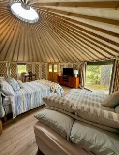 The Tuart - 4