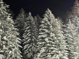Wohnung in Willingen am Ettelsberg Skilift - 8