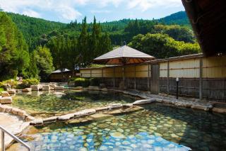 Watarase Onsen Hotel Sasayuri - Hongu - 1