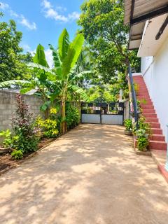 Mango Shade Hostel - 2
