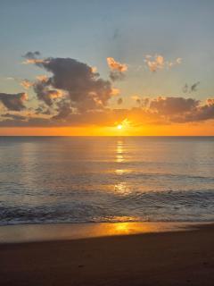 Bramston Beach Resort and Restaurant - 9
