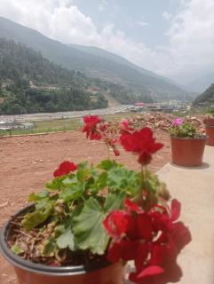 Sange Homestay - 3