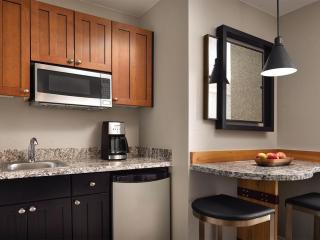 Marriott Mountainside Luxury Studio - 1