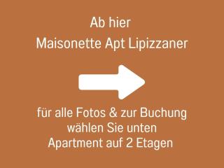 ZusammenZeit Dresden, 2 Apartments, Andalusier 4 Schlafzimmer & Balkon, Lipizzaner 5 Schlafzimmer & Sauna & Dachterrasse, Bus vor der Tür - 2