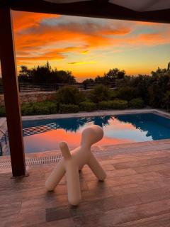 A luxurious seafront villa with a private pool - 1