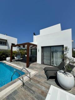 A luxurious seafront villa with a private pool - 0