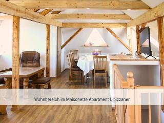 ZusammenZeit Dresden, 2 Apartments, Andalusier 4 Schlafzimmer & Balkon, Lipizzaner 5 Schlafzimmer & Sauna & Dachterrasse, Bus vor der Tür - 9