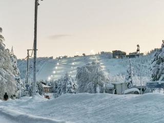 Holiday Home Rikinänranta b by Interhome - 8