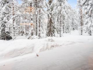 Holiday Home Vaaranhelmi by Interhome - 6