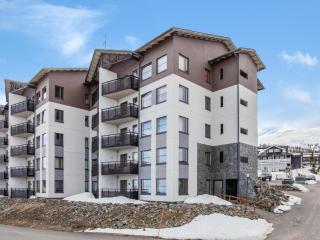 Apartment Nordic chalet 9102 by Interhome - Ylläsjärvi - 7