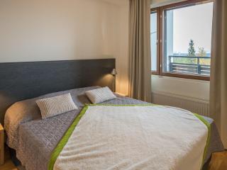 Apartment Nordic chalet 9102 by Interhome - Ylläsjärvi - 1