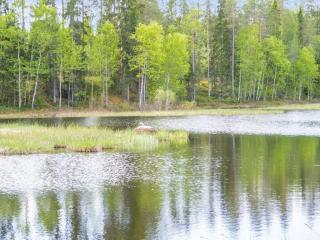 Holiday Home Kotimökki by Interhome - 9