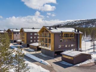 Apartment Tunturinlaita c 9 by Interhome - 5