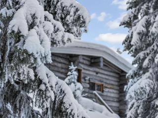 Holiday Home Kelo tuisku by Interhome - Rukatunturi - 9