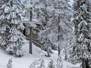 Holiday Home Kelo tuisku by Interhome - Rukatunturi - 7