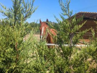 Apartment Tenuta Beatrice by Interhome - 7