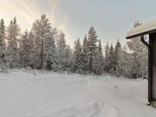 Holiday Home Koukkupolku 5 by Interhome - 4