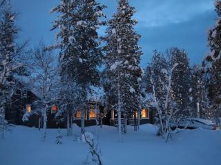 Apartment Tunturikoivu a2 by Interhome - 6