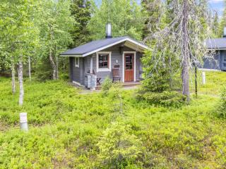 Holiday Home Villa taikavuosseli by Interhome - 7