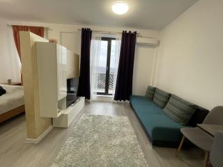 Mihuț Residence - 6