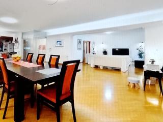 Villa Zagreb - 1