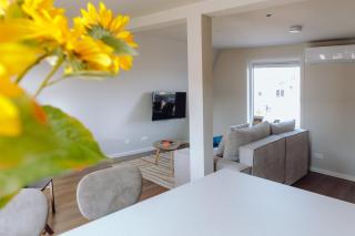 Wellness apartment in center of Maassluis - 8
