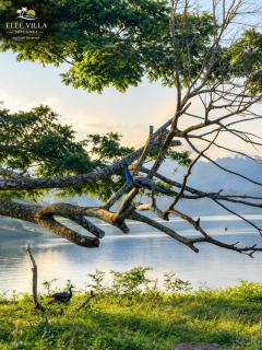 Elee Villa - Waterfront Retreat with Victoria Reservoir & Mountain Views - 5