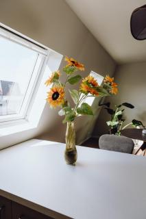 Wellness apartment in center of Maassluis - 5