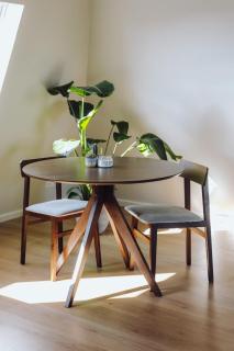 Wellness apartment in center of Maassluis - 1