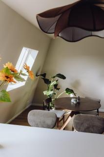 Wellness apartment in center of Maassluis - 8
