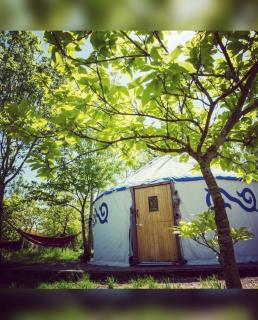 DGG Woodland Escape - 8