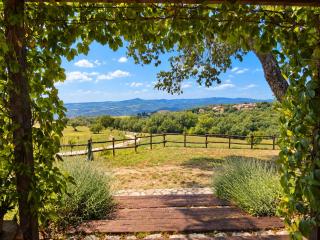 Scappo in Umbria, Le Salce - 7
