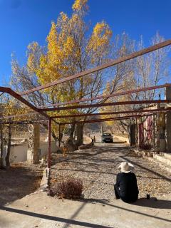 Oyoun chalets - 7