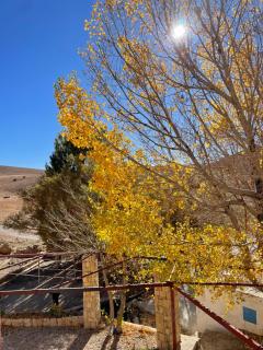 Oyoun chalets - 2