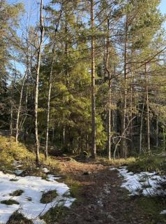 Cozy Forest Tiny House Near Stockholm - 3