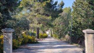 Bienvenue à la villa Bellavista - 6