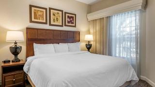 Enjoy the white sand beaches of St Augustine in this 1BD vacation condo -  - 7