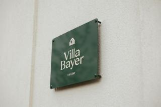 Villa Bayer - Villány - 9