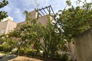 Villa Cat El - 6