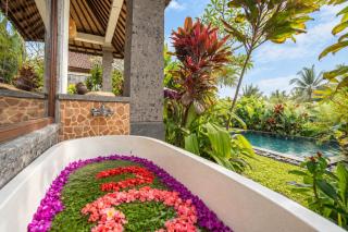 Taluh Bebek Ubud Private Villas - 1