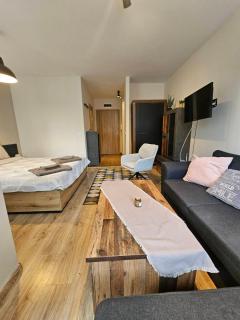 Bright & Cozy Studio E27 in Borovets Gardens - 5