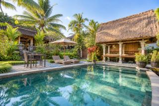 Taluh Bebek Ubud Private Villas - 8