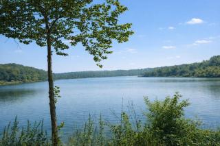 Lakeview Cabin - 6