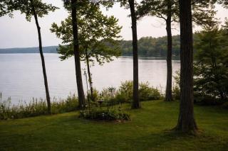 Lakeview Cabin - 5