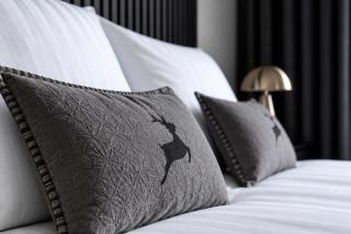 Premium Apartment With Sauna & Parking - Ailo Apartments - 3