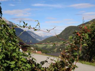 Holiday Home Alpenchalet Gundolf by Interhome - 8