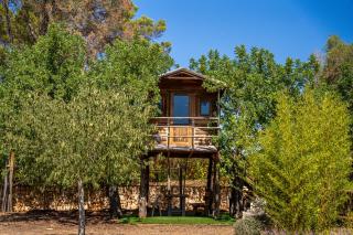 Ideal Property Mallorca - Villa Laiar - 2