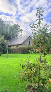 Log cabin - 1