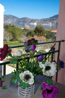 Panorama - 5